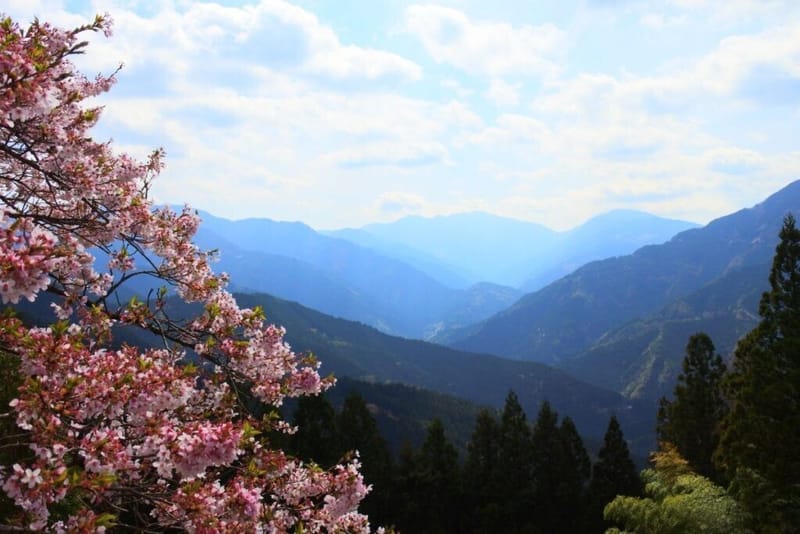 四国山地の山中～川井峠から見る剣山の景色やで～(^^)/ しばさんのフォト 趣味人倶楽部（しゅみーとくらぶ）
