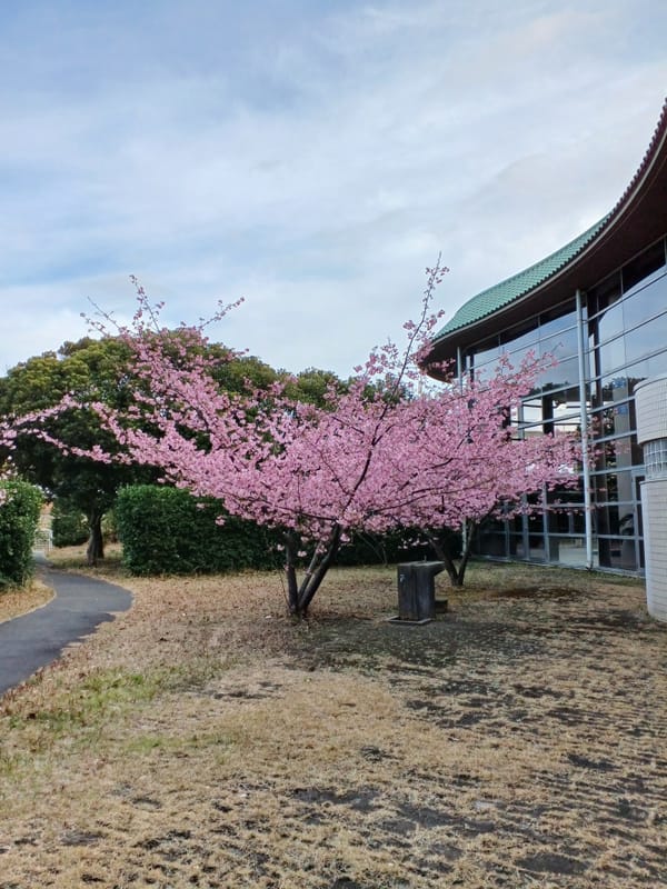 天気図を愉しむ うりぼうさんの日記 趣味人倶楽部（しゅみーとくらぶ）