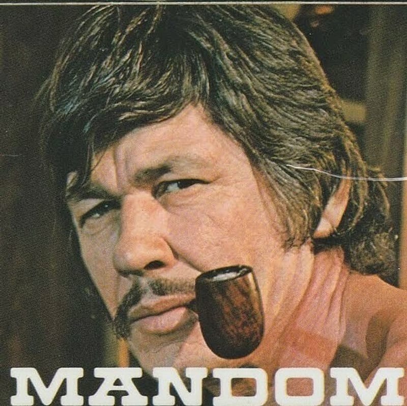 懐かしい洋画・海外ドラマ 【チャールズ・ブロンソン出演作品】 はらへー太さんの日記 趣味人倶楽部（しゅみーとくらぶ）